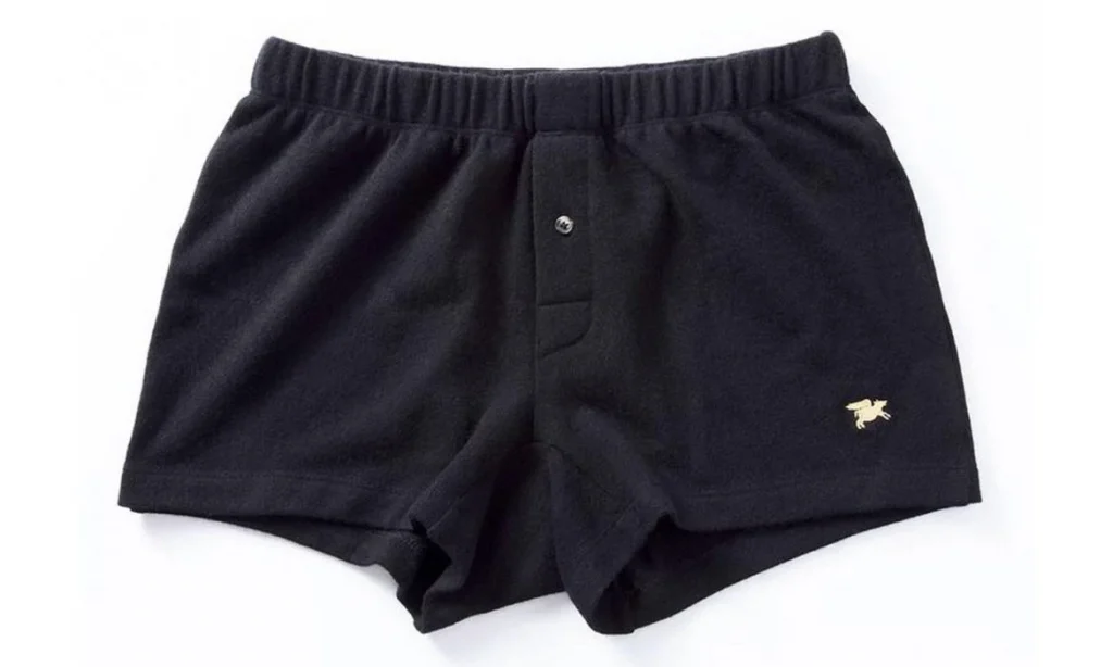 Expensive Underwear