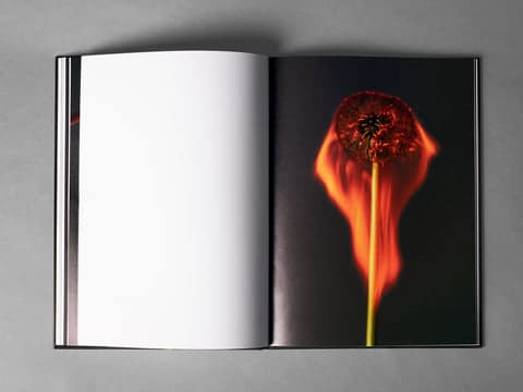An Exploding World-Rankin