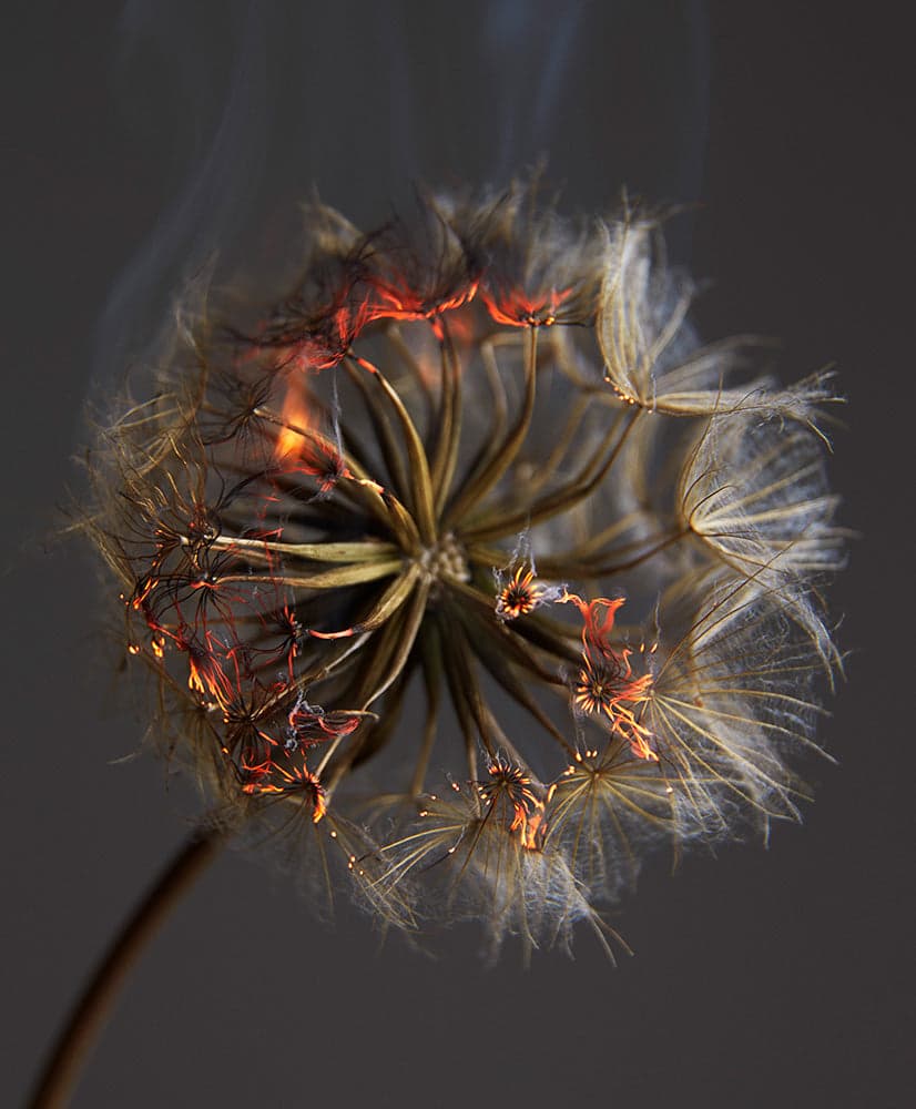 An Exploding World-Rankin