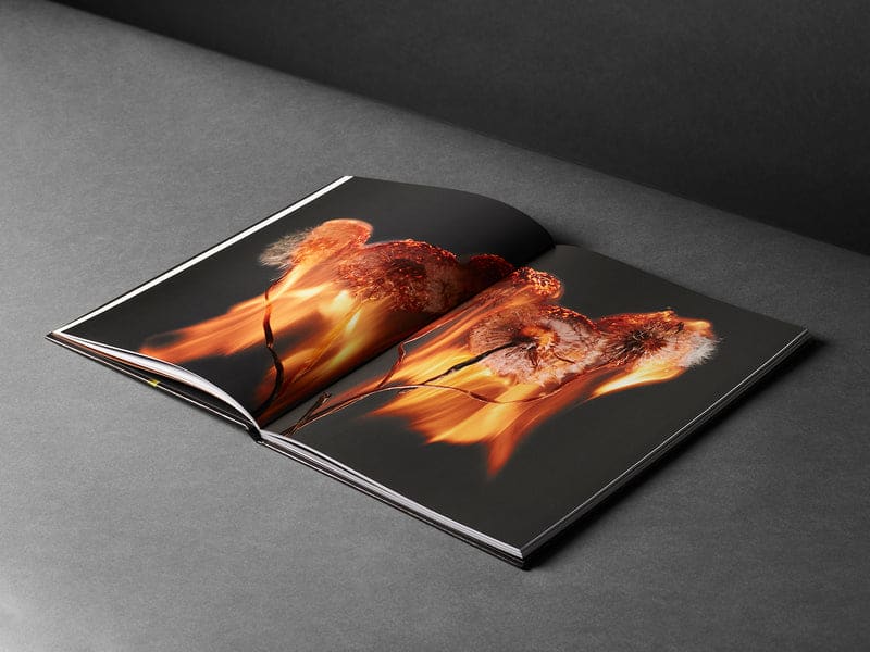 An Exploding World-Rankin