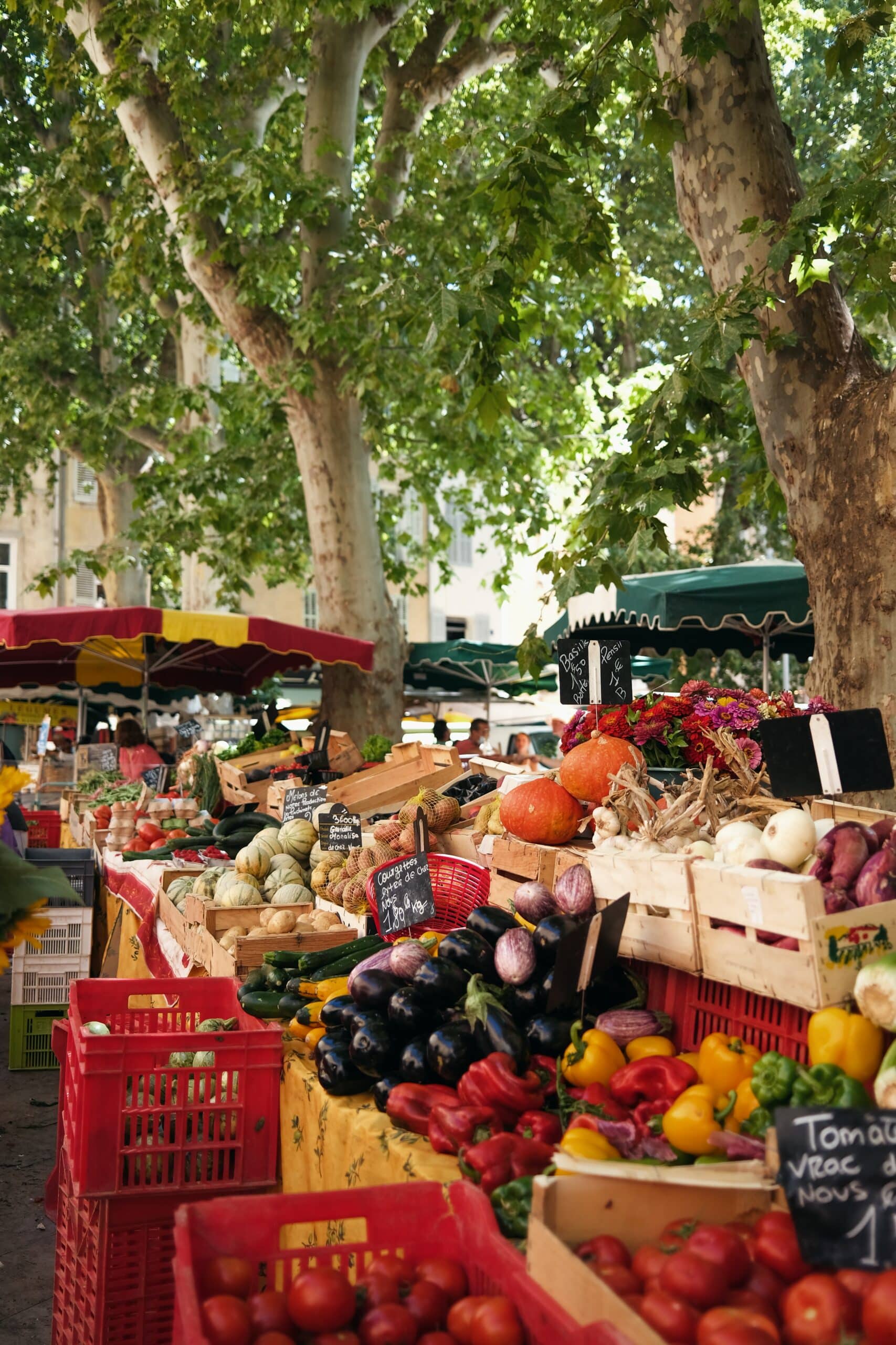 6 Destinations in France You Need to Visit at Least Once