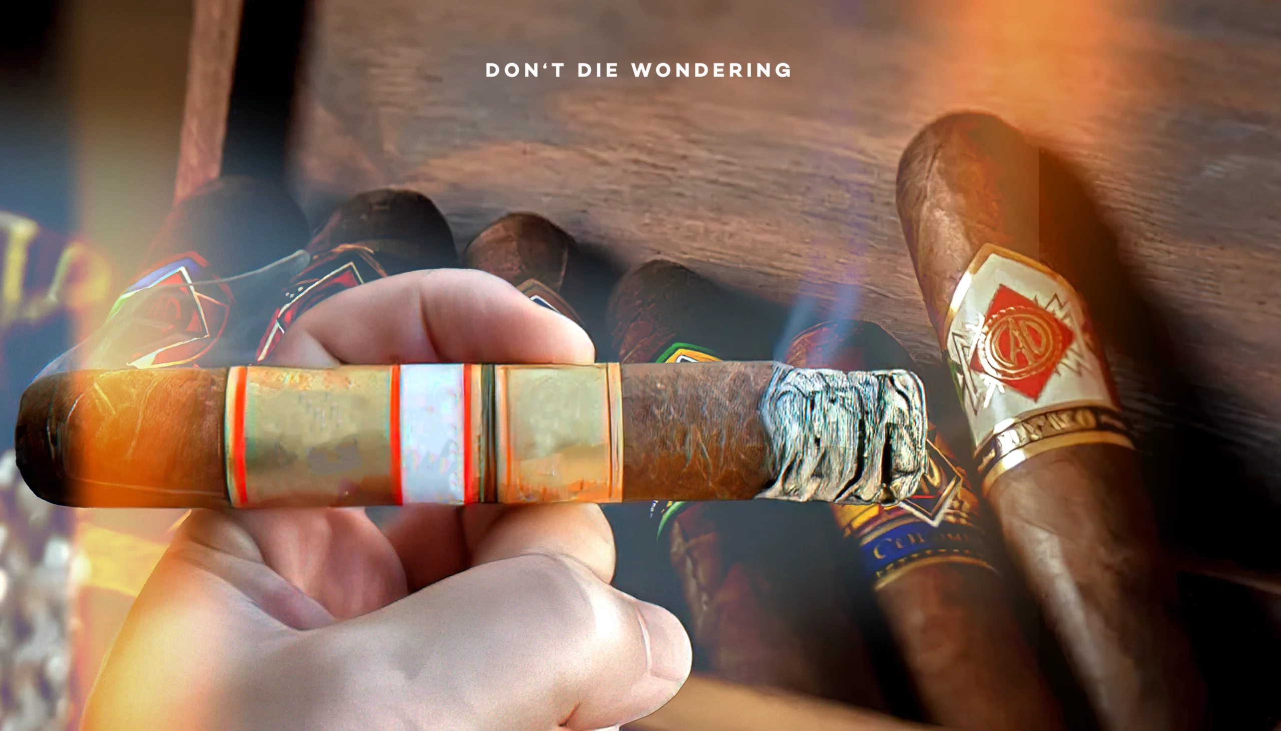 Cigar Collecting is The New Status Symbol. Here’s Everything You Need To Know About it