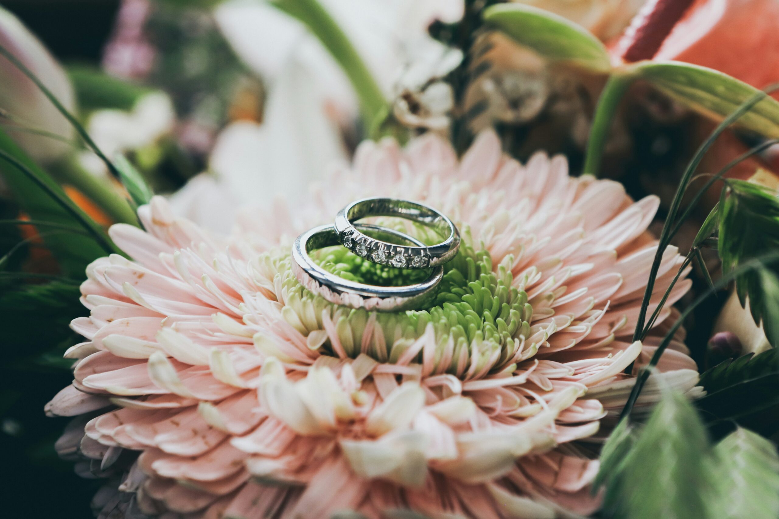 Lab-Grown Jewelry: A Sustainable Revolution in the Industry