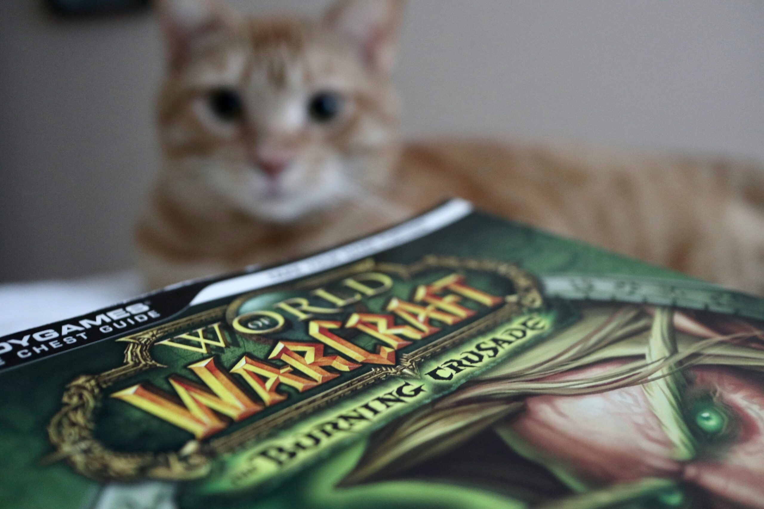 5 Celebrities Living Life to the Fullest with World of Warcraft
