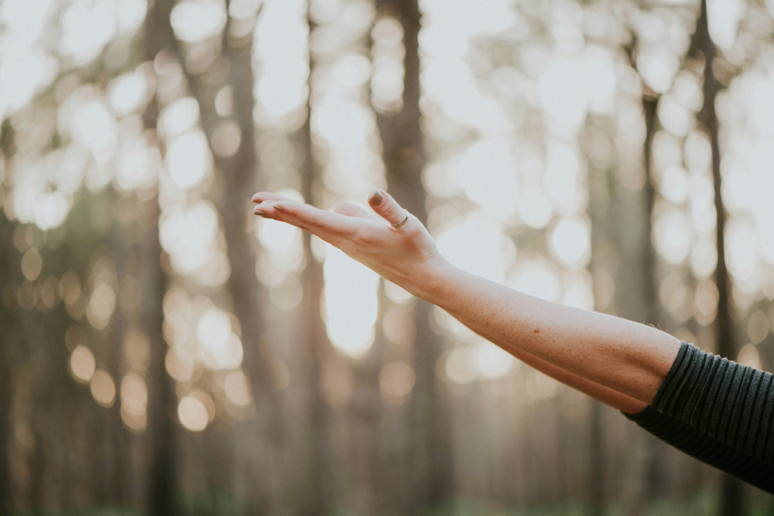 The Difference Between a Wellness Retreat and a Health Retreat
