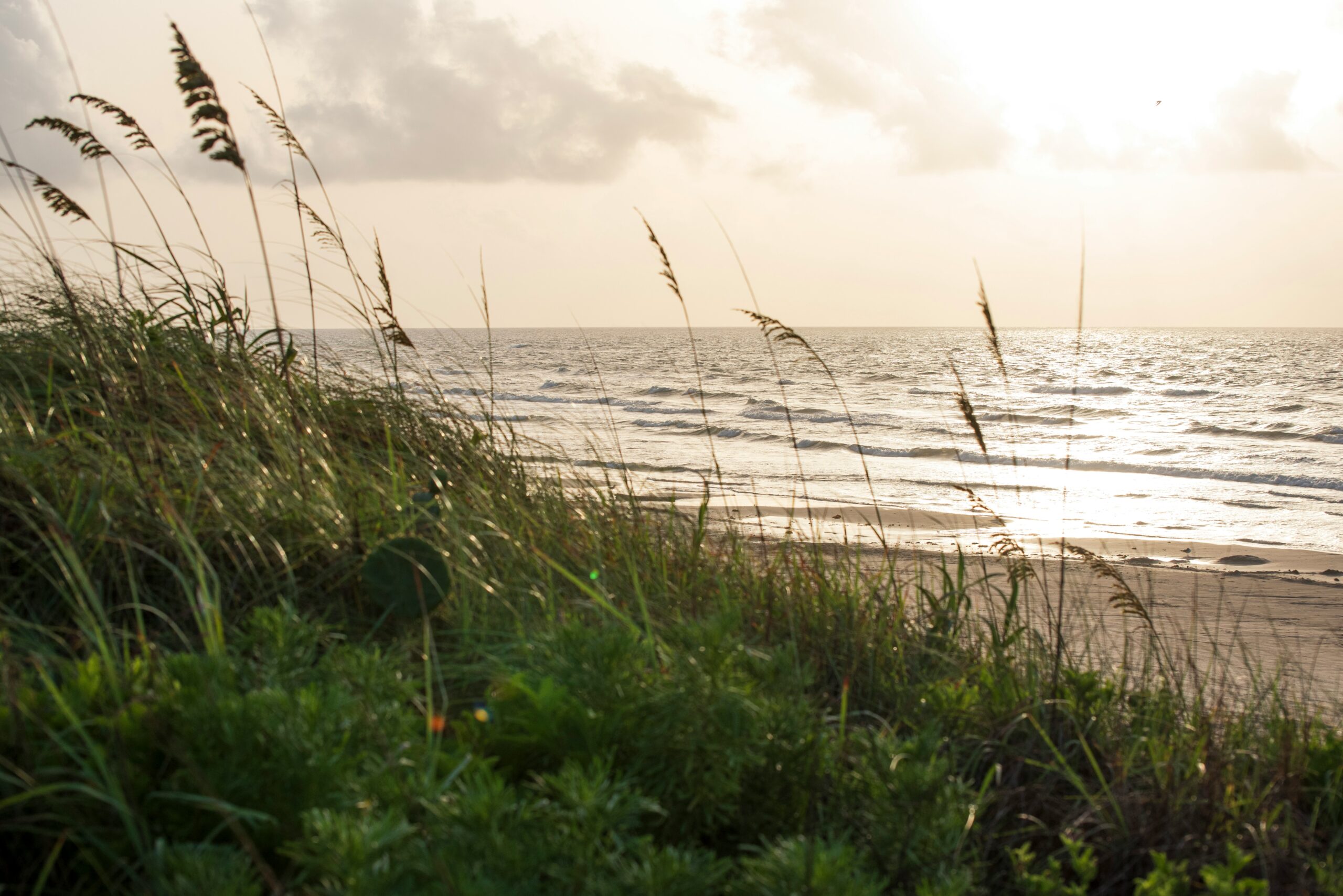 How to Make the Most of Your Corpus Christi Vacation