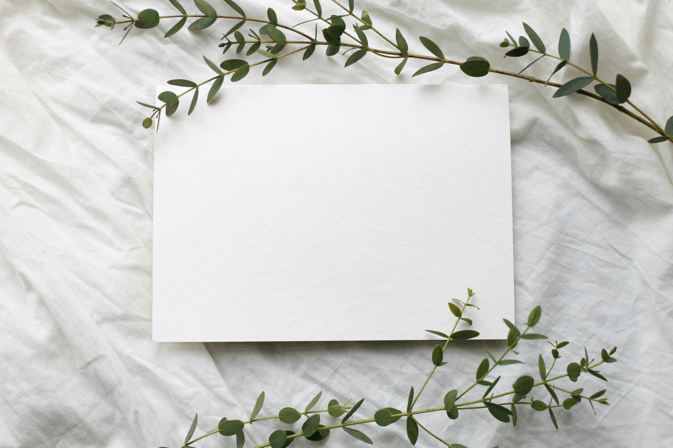 What to Write on a Bridal Shower Card