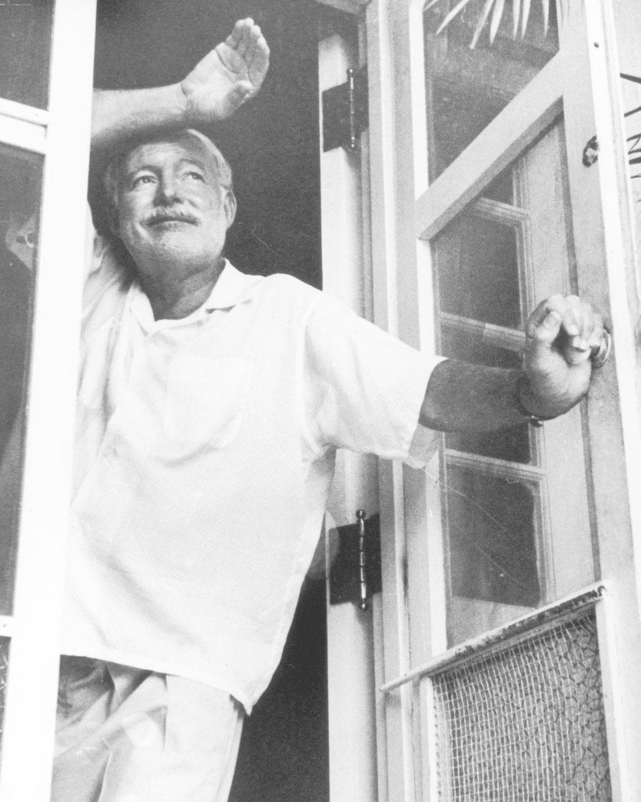 Alberto Vacchi