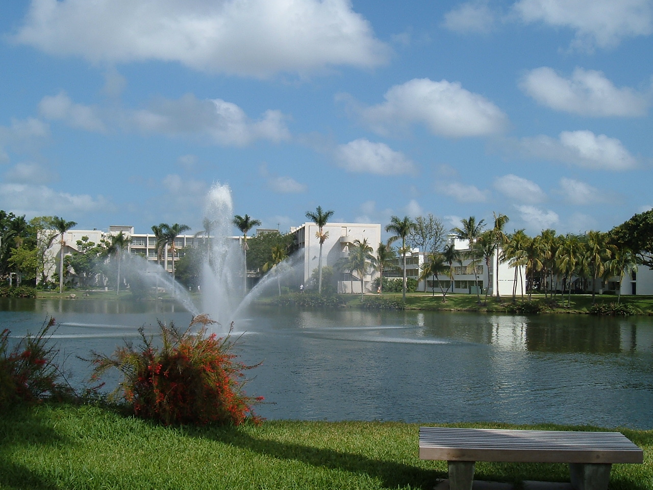 Lake Osceola at the University of Miami